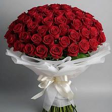 Букет 101 Красная роза Блэк Мэджик в Демихово