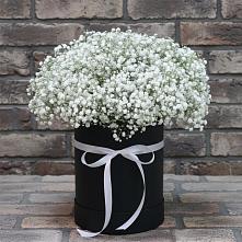Цветочная композиция из Гипсофила в шляпной коробке в Демихово